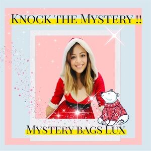 MYSTERY LUXURY BAGS!! starting bid $200